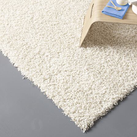 ExpoShaggy-5699-366-interior