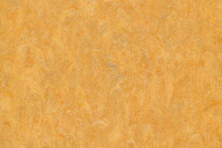 Diamond_Forte-4213-464